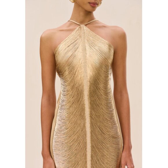 Cult Gaia Mara Draped Silk Fringe Mini Halter Dress - Picture 11 of 13